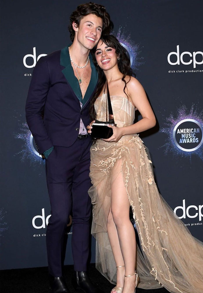 Camila Cabello and Shawn Mendes at the 2019 Grammy Awards.